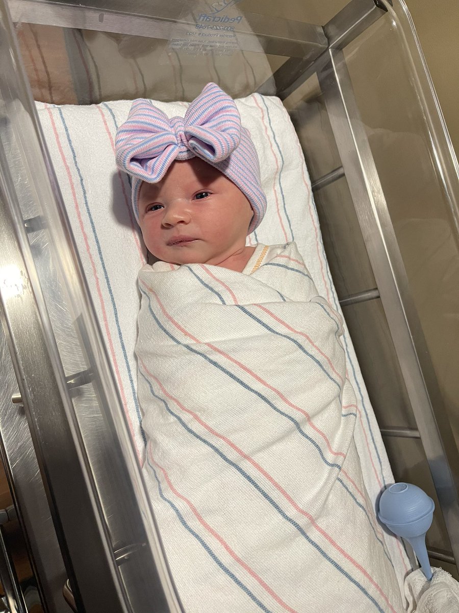 GeorgiaDawgs365's tweet photo. Another #Dawg has been added to the fold! She will have her first bath and be dressed in red and black before we know it! Our pup Gurley is at home just waiting to assist with her first southern baptism! #BabyAddison #GoDawgs https://t.co/L9ecscDMSg