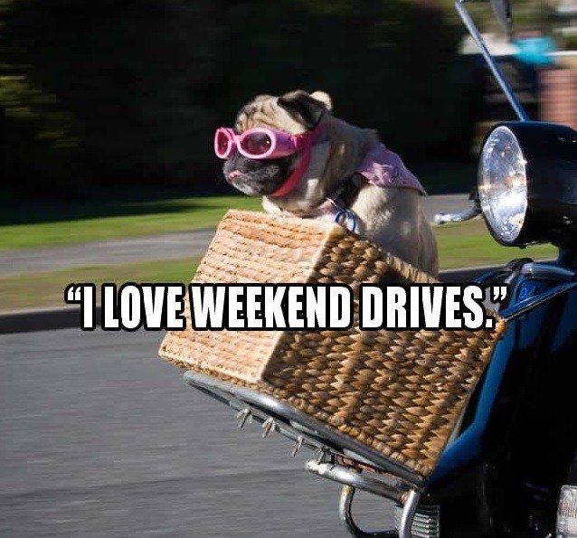 TicketGal702's tweet photo. Whose getting ready for the weekend? #WeekendVibes #DrivingInVegas #TicketGal #WeCanHelp https://t.co/Fo7xZCGJH9