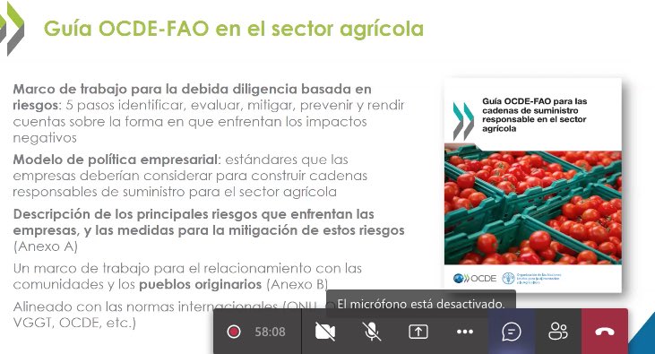 ConsorcioLecher's tweet photo. Para un proceso de #debida #diligencia, Sebastián Weber comparte la guía @OCDE_fr @FAO en el sector agrícola en taller #APL #Industria #Láctea #procesadora #sustentable @ConsorcioLecher https://t.co/hMQj8c21Gn