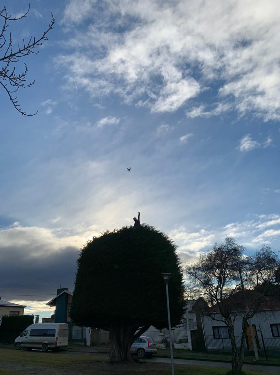 GabrielBoric's tweet photo. A propósito de la franja me han preguntado harto si de verdad me subí al árbol. Y sipo! ¿Quien de niño no se subía a árboles a pensar en otros mundos? https://t.co/ENfOQaAfF7