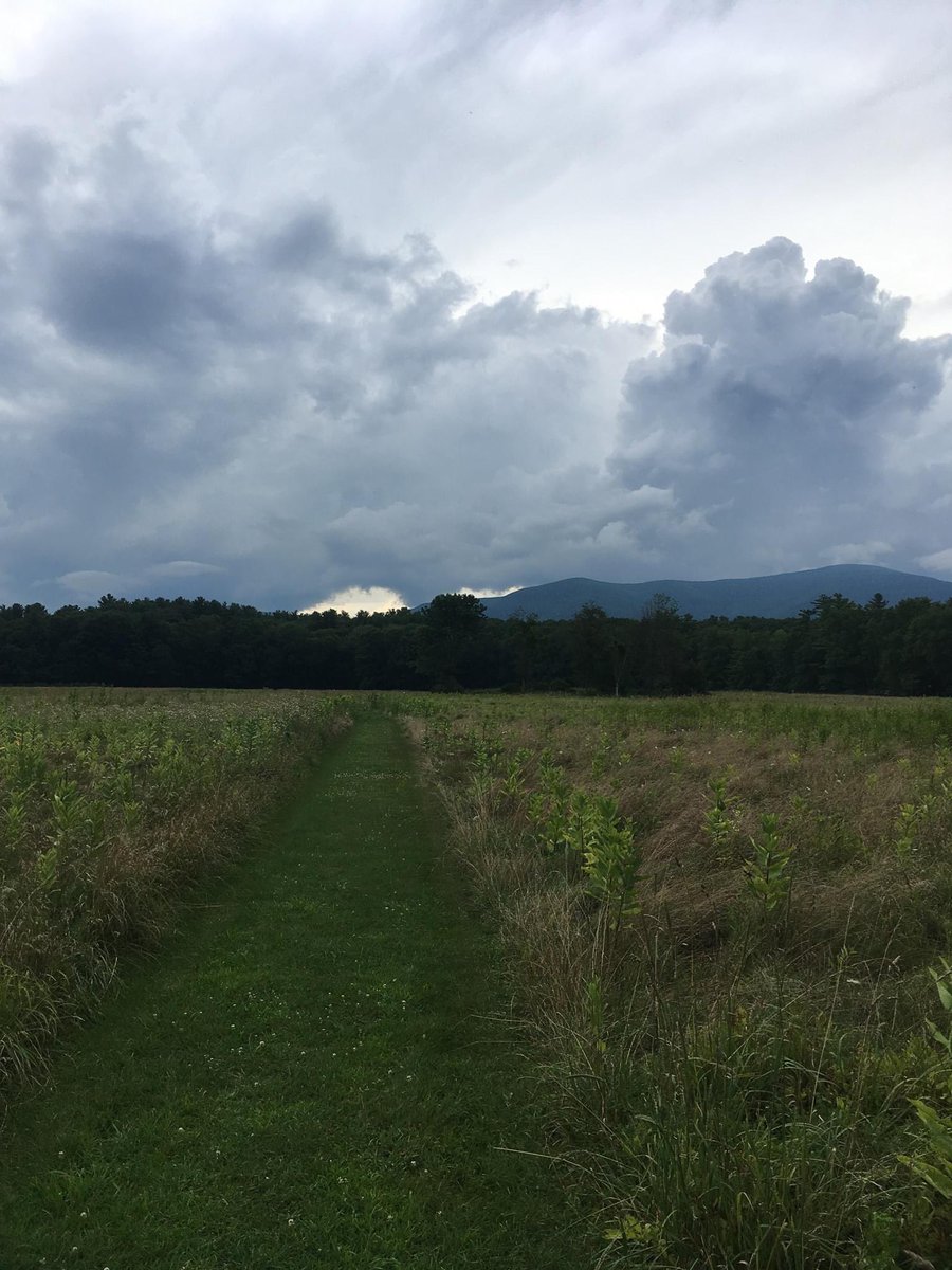 CatskillCenter's tweet photo. Updated #TrailConditions for #CatskillPark from #CatskillsVisitorCenter! Cooler temps are coming, but humidity will stay! Mixed forecast for the holiday weekend. Keep an eye on sky, be prepared to change plans in case of heavy rain, thunder, or lightning. https://t.co/QxX4A2EIdI https://t.co/ClGc8tZPRR