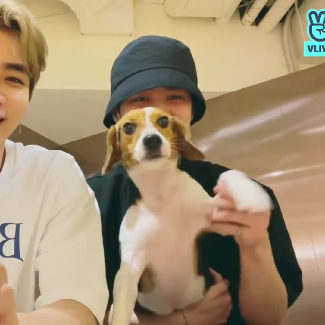 🐶 #钱锟 #KUN