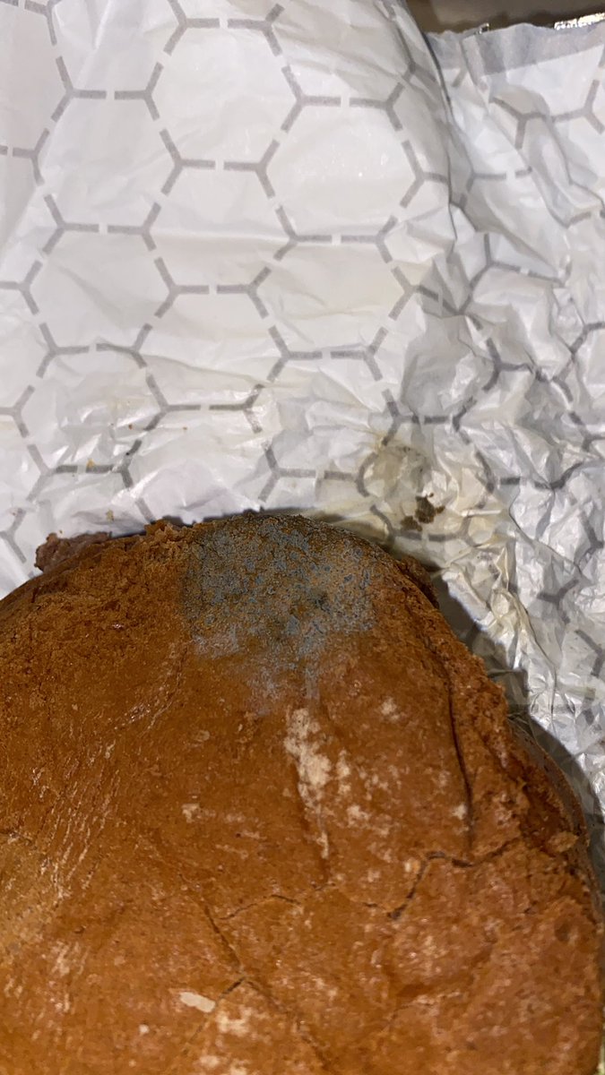TrinnKingg's tweet photo. frischs on dream street really just sold me this swiss miss with mold on it @FrischsBigBoy https://t.co/T374aeLlWS