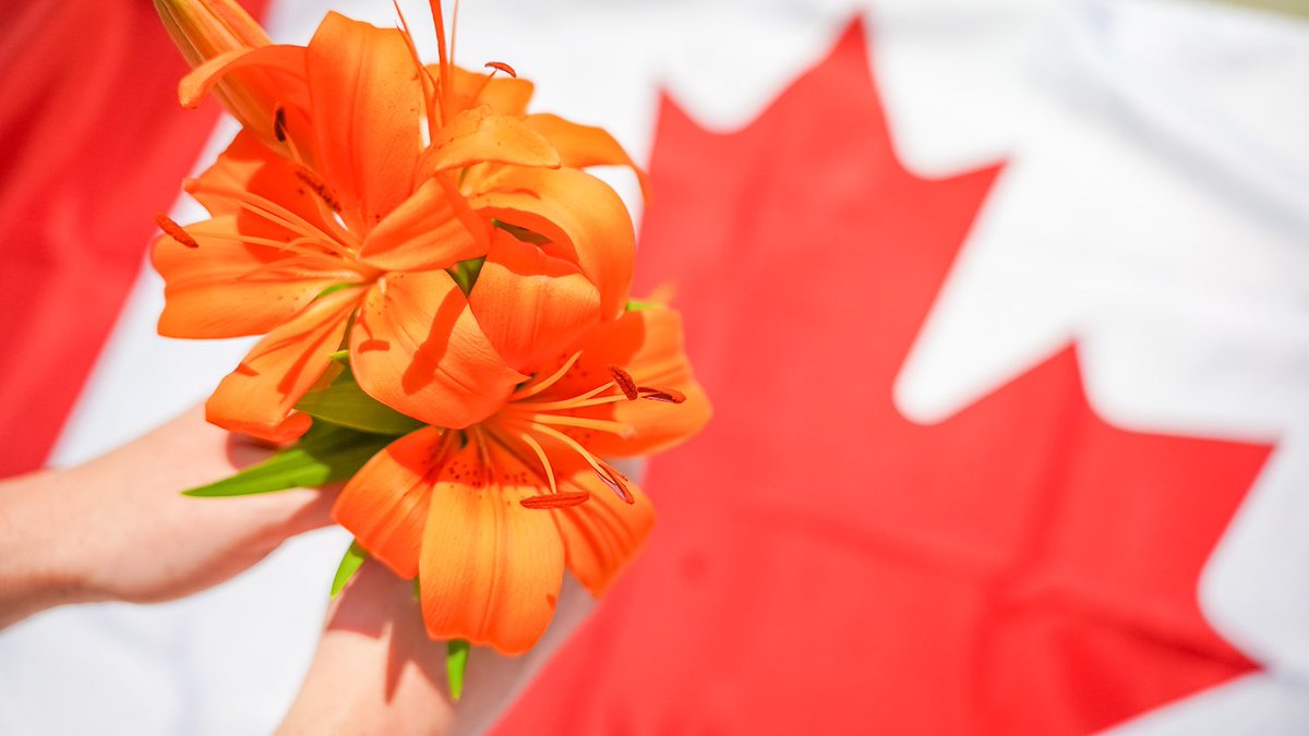 201Portage's tweet photo. We wish everyone a safe and relaxing Canada Day, however you choose to spend it.

We acknowledge that we are on Treaty 1 territory and stand with our Indigenous communities across Canada 🇨🇦🧡

#201Portage #MakeAStatement https://t.co/Gyg44o69NL