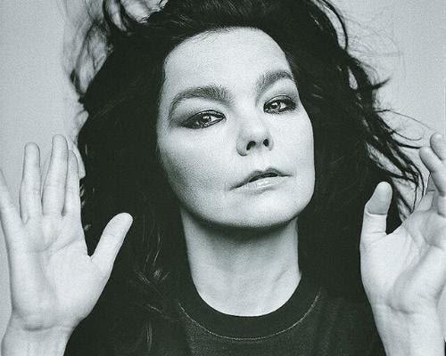 meu deus a bjork empina a sobrancelha ia ficar a cara cuspida da vulcana de star trek
