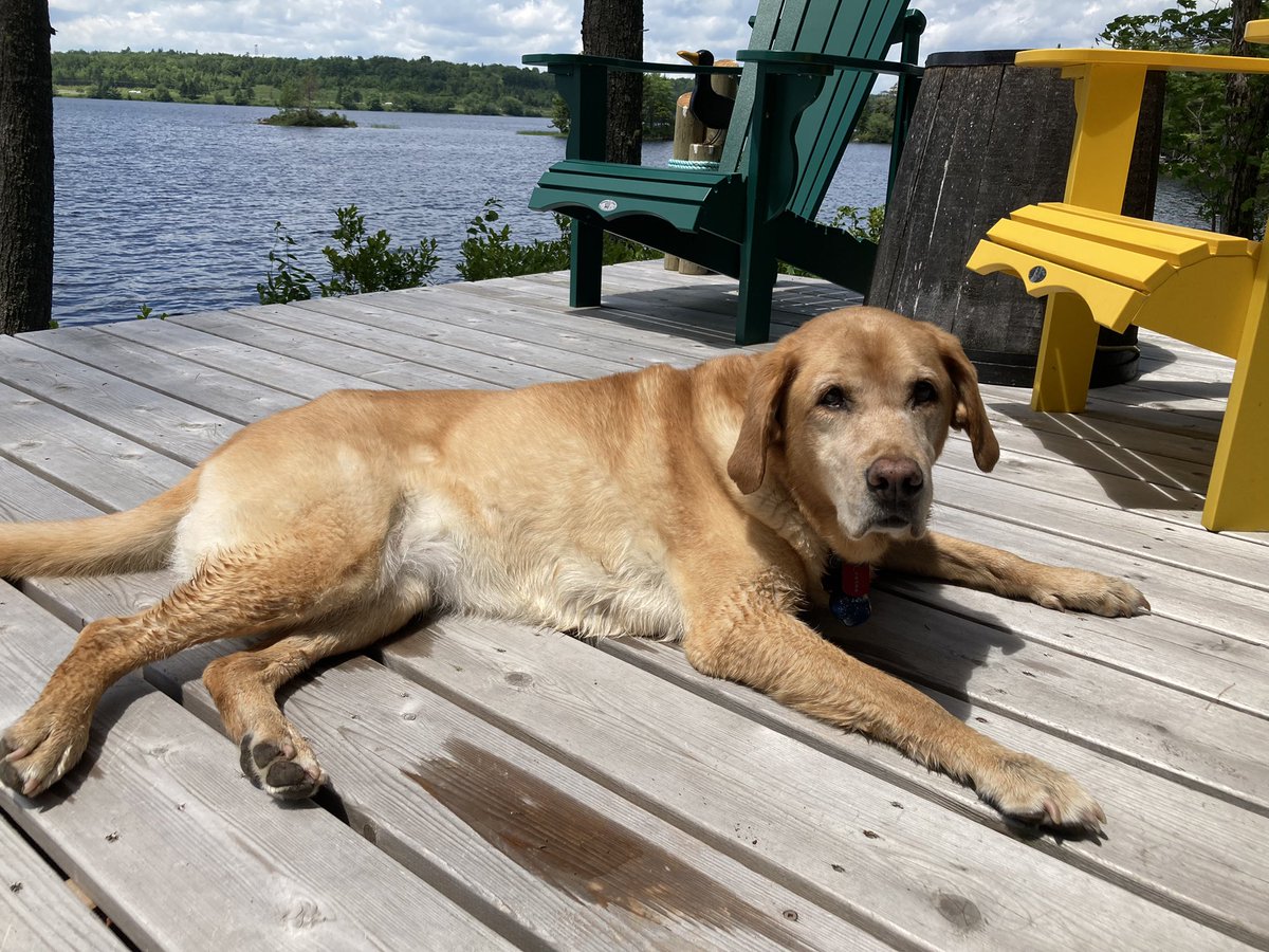 I don’t know why the humans aren’t at their desks on a Thursday but I’m some happy about it!
