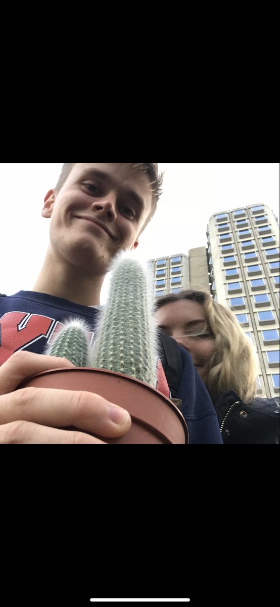 mollyaggrocks's tweet photo. How it started vs how it’s going ... 🌵 https://t.co/Df0tZpnwGP