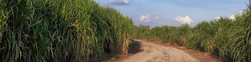 interested in #bioenergycrops ? why don't you join our experts in Linkedin? enter here: bit.ly/3xcHysu #bioeconomy #biomass #biofuels #biochat #regenerative <a href="/agriculture/">agriculture Tweets</a> #biochar #biogas