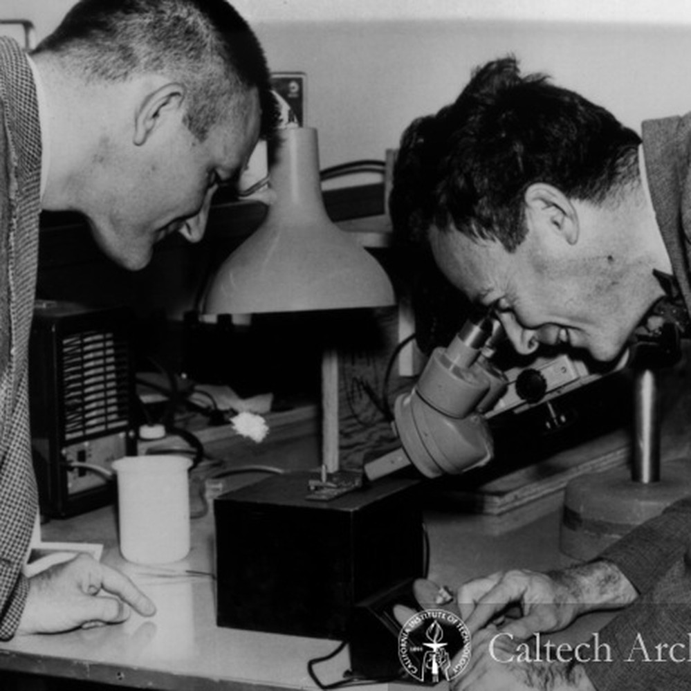 PhysInHistory's tweet photo. Physics Photo Of the Day:

In Dec, 1959 Richard Feynman offered a prize of $1,000 to the first person to make a motor l/64th of an inch cube. Caltech graduate, William McLellan, designed motor only 15/1000ths of an inch in diameter. Photo by McClanahan. Physics.
ca. 1960. https://t.co/jEdZSeCt0K