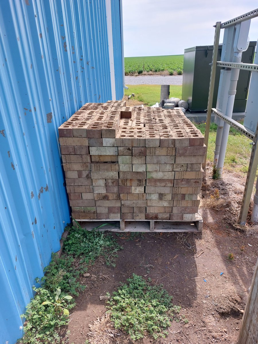 mrsolson725's tweet photo. Farm wife life project #2. Move brick pile out of dying shelter belt to "permanent " home. https://t.co/oPpLoIxtYH