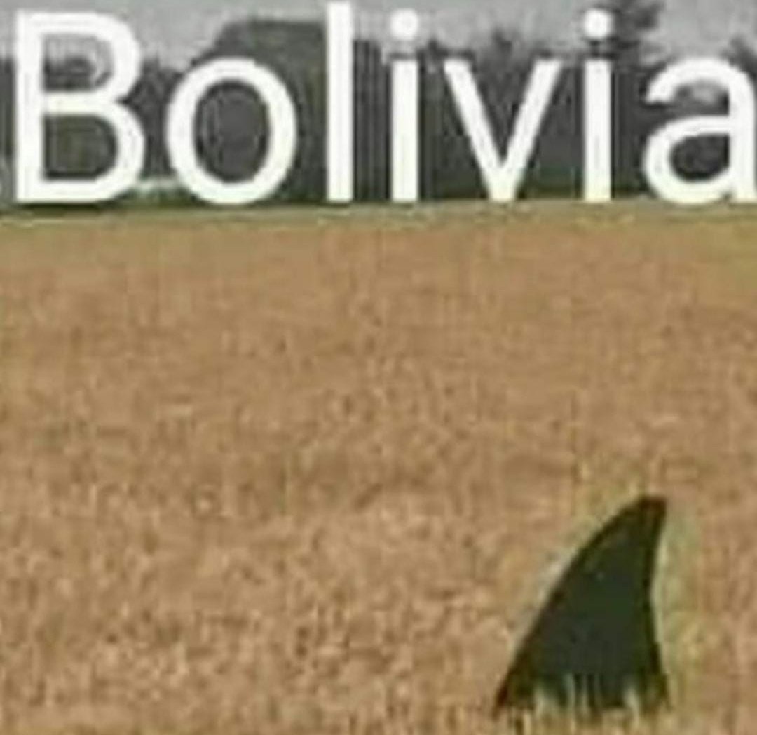 Joacø ♥️ tweet media