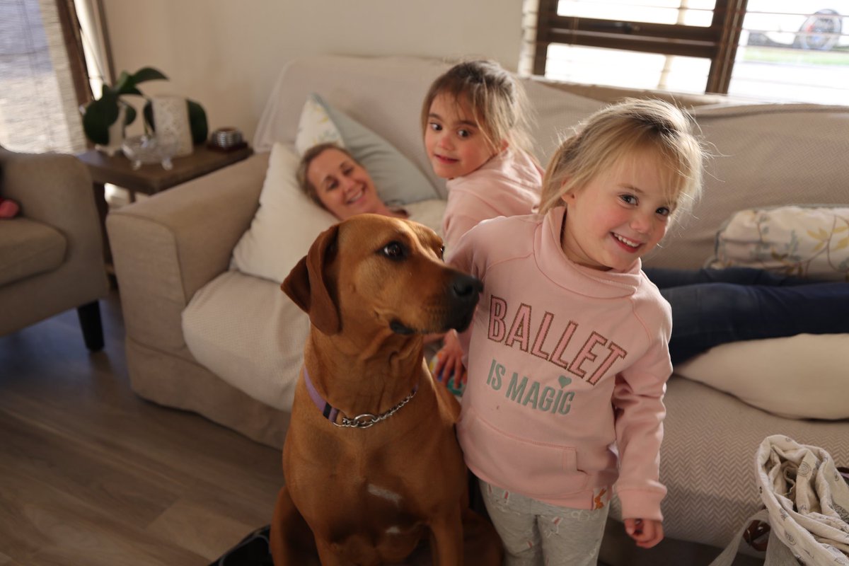 RyanOConnorZA's tweet photo. So happy that fury friends get a forever home in ‘A Dog For Life’ on Netflix. Such an incredible story. #HillsDogForLife @HillsPetSA https://t.co/RIPKEzP40H