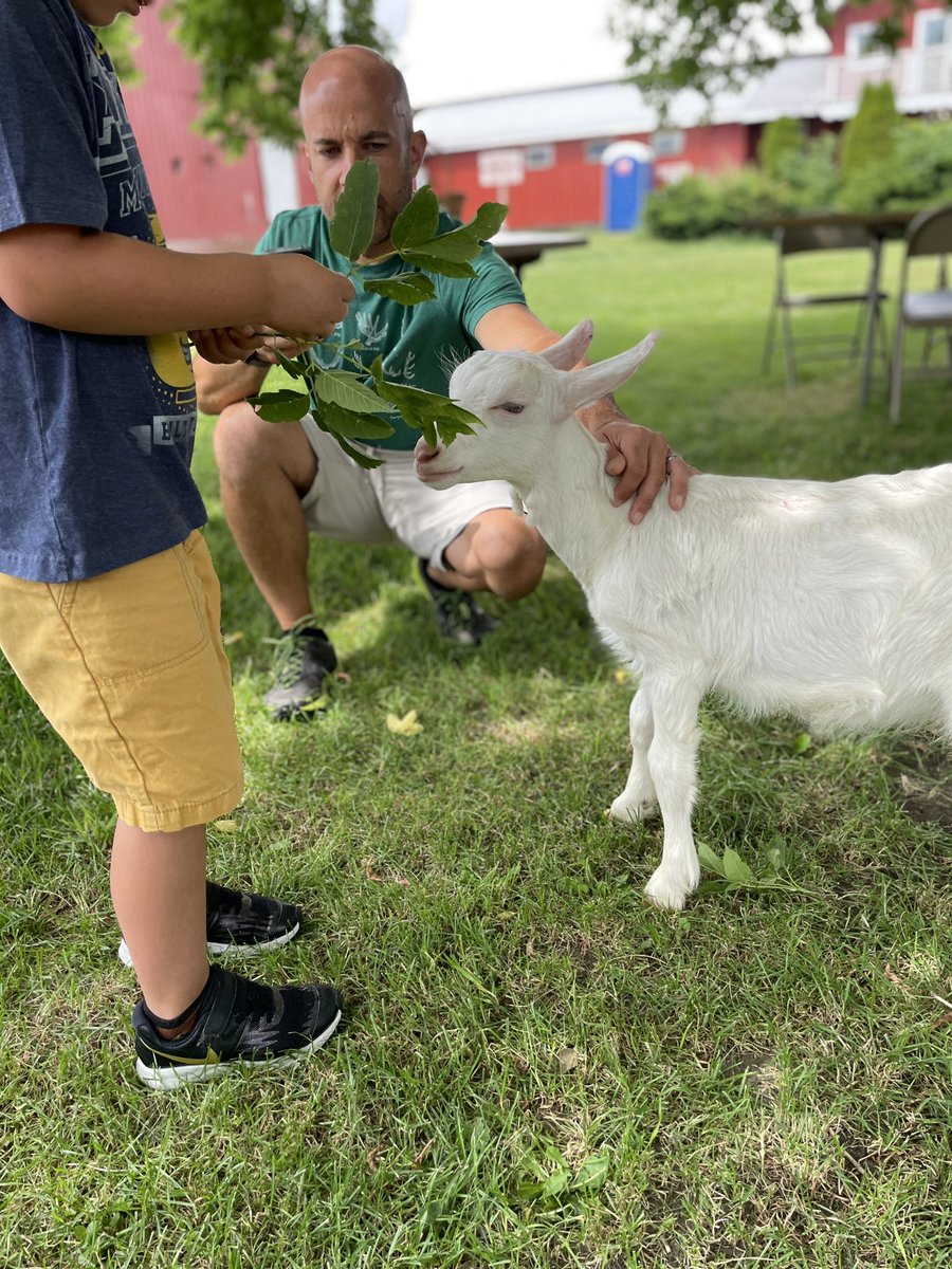 mrssaldino's tweet photo. Feeding baby goats today @LivelyRunDairy.  They were so sweet. ❤️🐐 https://t.co/i4FvLz0n94