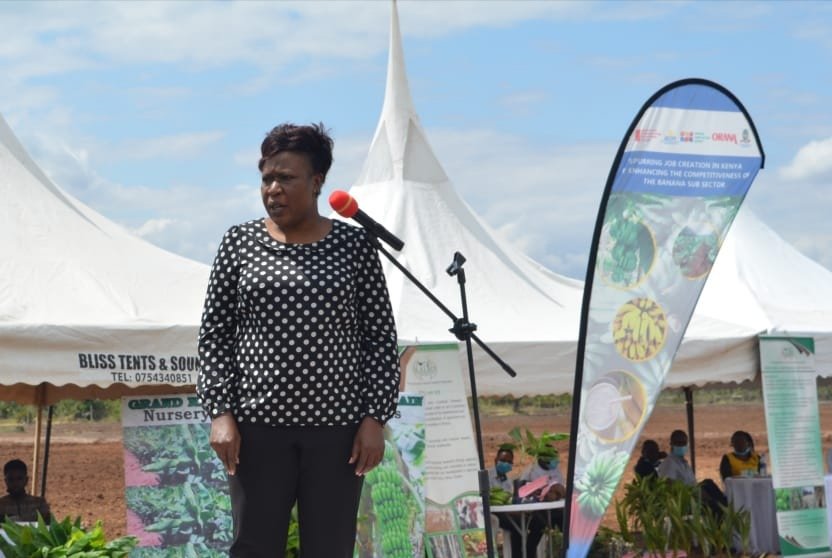 MESPT_ke's tweet photo. MESPT’s CEO, Mrs. Rebecca Amukhoye in her remarks during the #dmdpprogramme launch thanked DANIDA for the continued funding of MESPT’s work. She noted that the DMDP banana project will stimulate job opportunities which will improve livelihood for many households in Taveta. https://t.co/gnQL6iHPvi