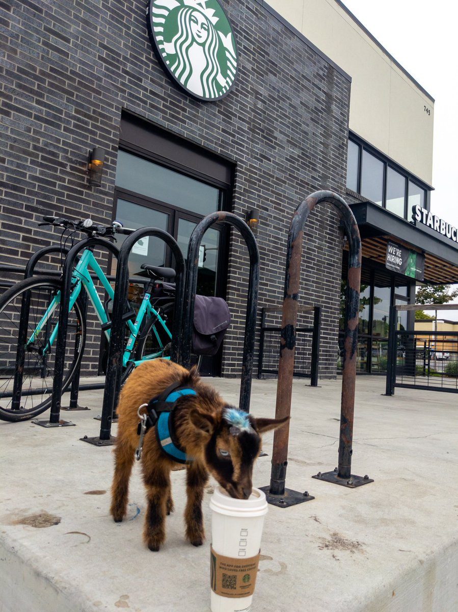 roberteschmid's tweet photo. Everyone likes @Starbucks 😂 https://t.co/EJyzQrtd7e