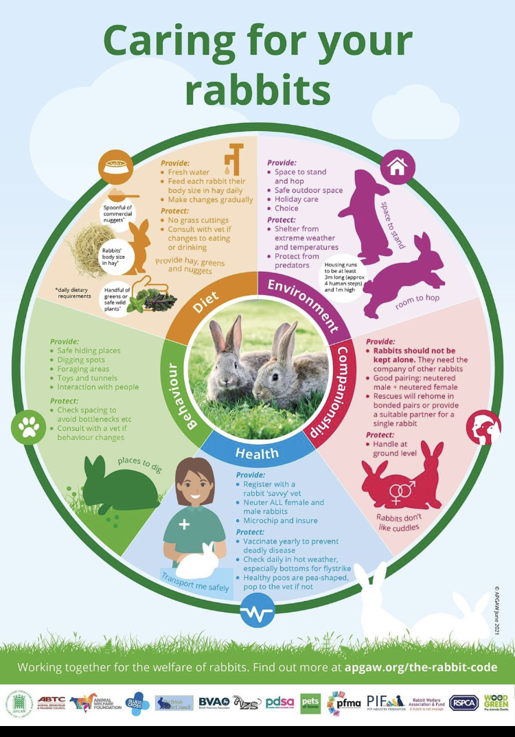 Some bunderful news... 

While guidance has been in place in Scotland, we are delighted to see more steps being taken to improve #rabbitwelfare

This amazing infographic below showcases the absolute minimum standards you as an owner have the responsibility of providing your bun!