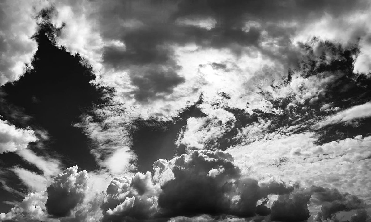 Mason Adams tweet media