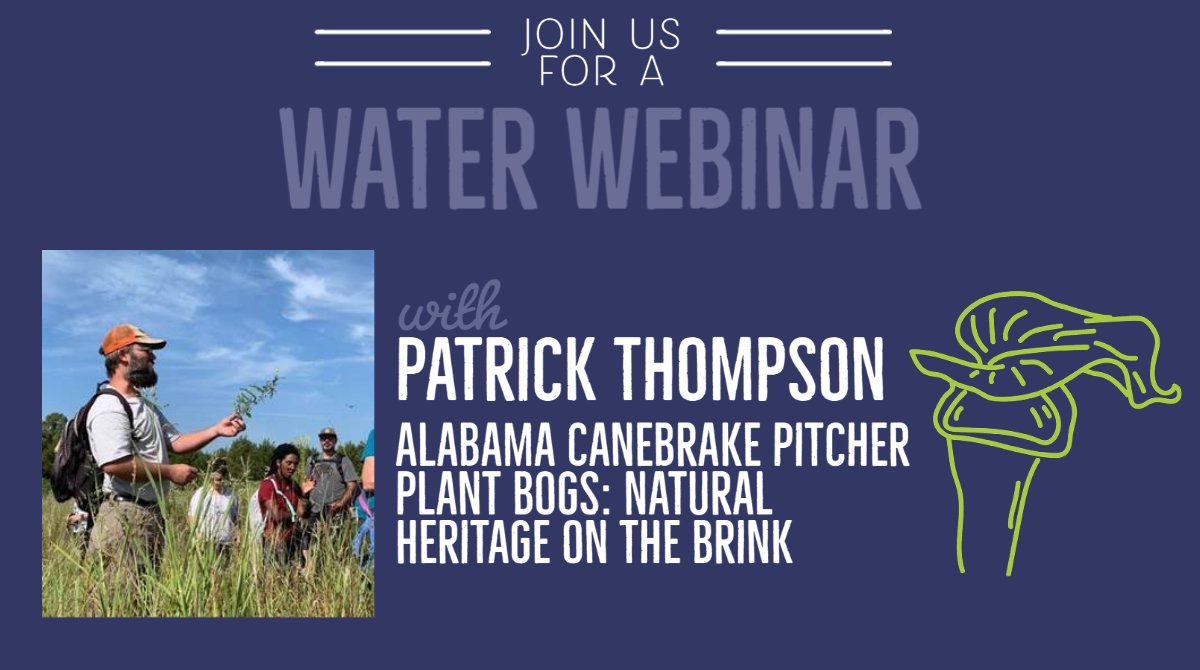 Auburn University Water Resources Center (@auburnwater) on Twitter photo We're kicking off the fall season of our AUWRC Water Webinar series with Patrick Thompson of the <a href="/AUArboretum/">AUArboretum</a> on August 25 with "Alabama Canebrake Pitcher Plant Bogs: Natural Heritage on the Brink". Register Here: auburn.zoom.us/meeting/830813…
#auburnwater #alabamapitcherplant We're kicking off the fall season of our AUWRC Water Webinar series with Patrick Thompson of the <a href="/AUArboretum/">AUArboretum</a> on August 25 with "Alabama Canebrake Pitcher Plant Bogs: Natural Heritage on the Brink". Register Here: auburn.zoom.us/meeting/830813…
#auburnwater #alabamapitcherplant