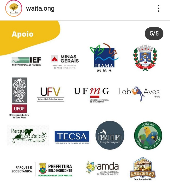 waitaong's tweet photo. Vc já conhece sobre esse assunto? Quer aprender mais? A primeira edição do Projeto Voar rendeu dois artigos sobre esse tema, confere na bio do nosso @instagram (@waita.ong) https://t.co/fbYwwaLlGy