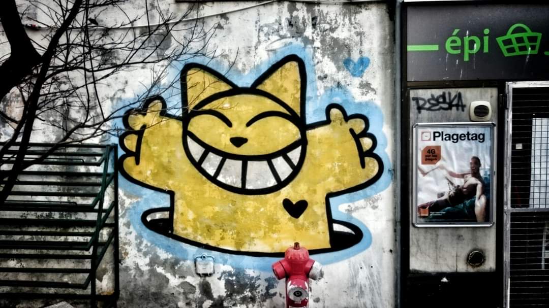 Streepart's tweet photo. Trouville 
https://t.co/BPgWCYNLgy dans les rues de la très parisienne ville de Trouville-sur-Mer (Normandie)
📸 Streep
#mchat #trouville #normandie #normandy #chat #picoftheday #photo #photoart #art #streetart #arturbain #jaune #visitnormandy #visiternormandie #globalstreetart https://t.co/beXn7c65Zp