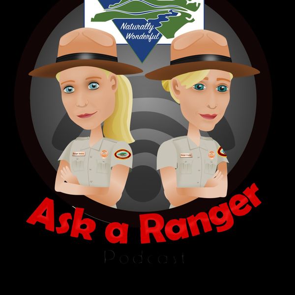 RamblingRangerP's tweet photo. I had the pleasure of being featured on the Ask a Ranger Podcast, previous international guests! 🇺🇸

If you would like to hear my journey and experience with Rangering in Scotland you can listen now on:
https://t.co/aAZ4n6Eqgj
Or click the link in the bio to hear theres! 👆🏻 https://t.co/hyKCrAakRF