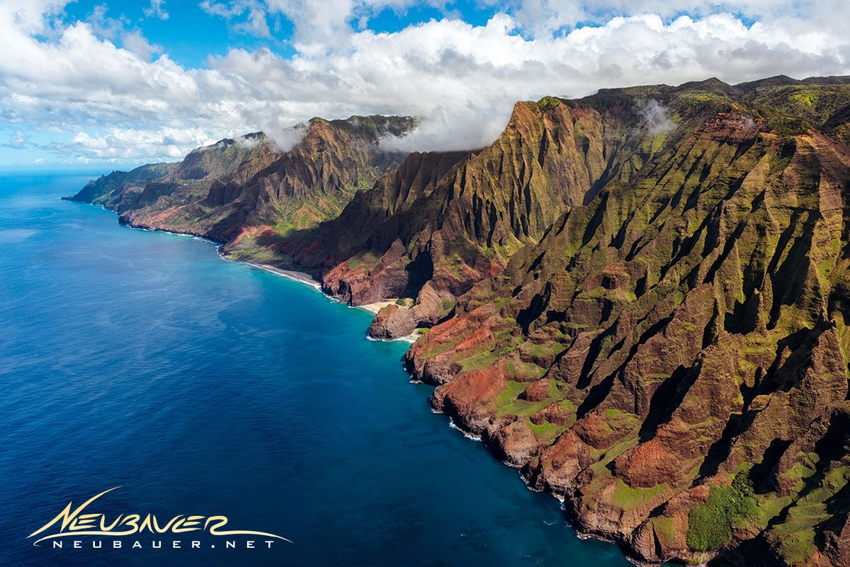 Mike Neubauer tweet media