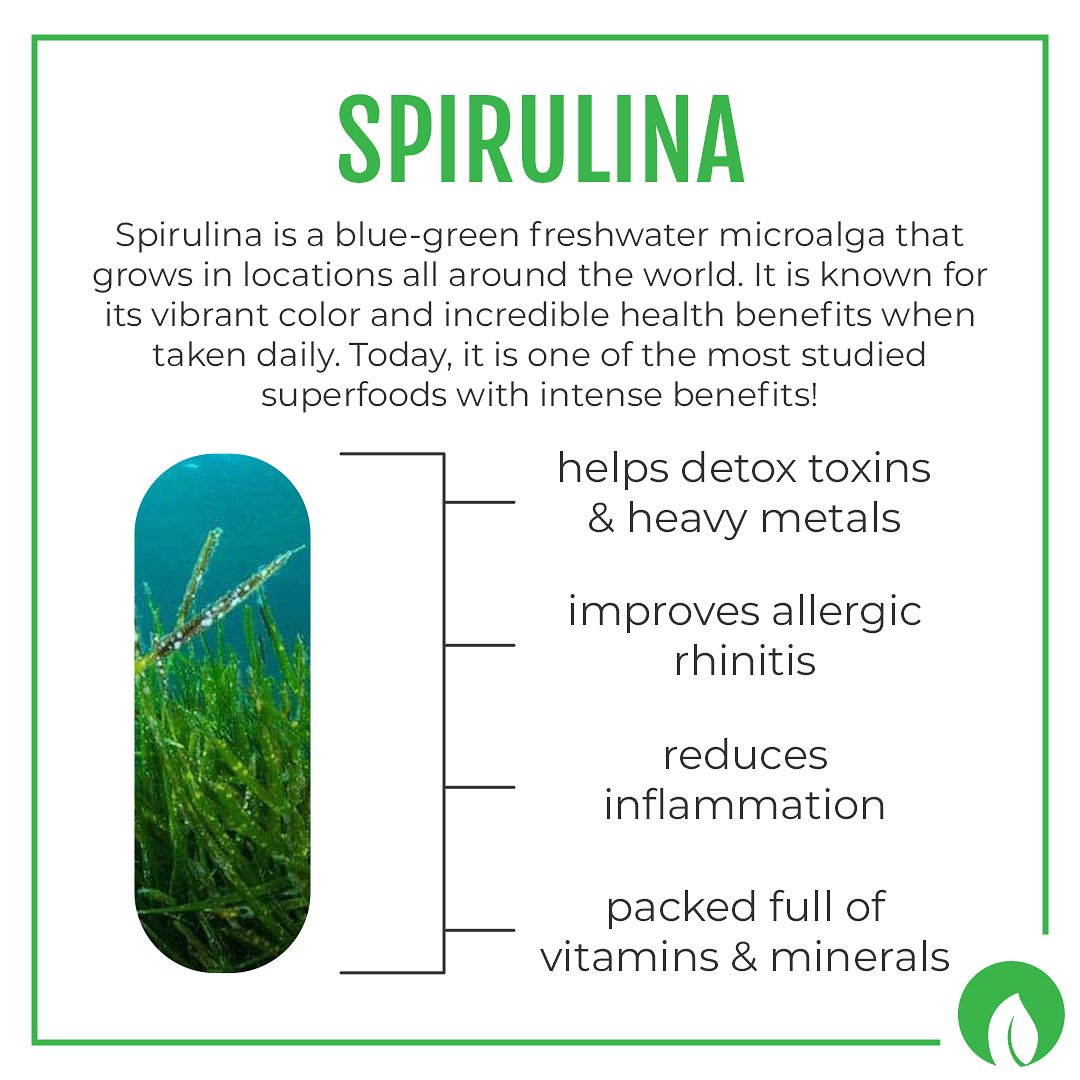 detoxorganics's tweet photo. Who loves #spirulina just as much as we do? #organic #heavymetals #removestoxins #dailycleanse #healthyalgae #spirulinabenefits https://t.co/GIqt58AZoc