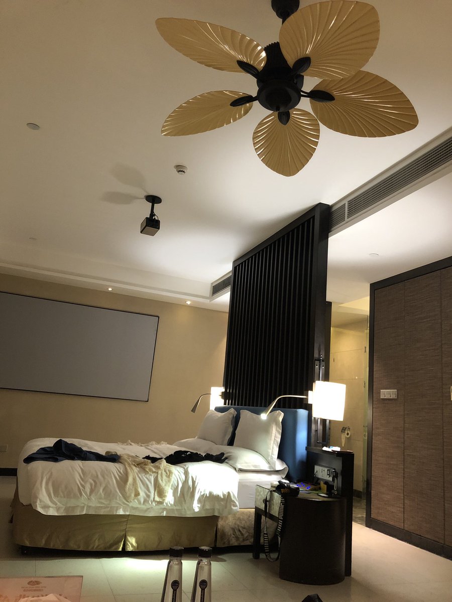 Pillow (@daisyconnor4) on Twitter photo 