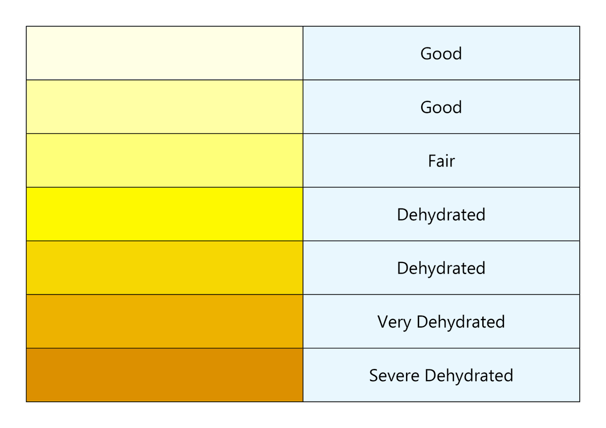 SafetyControls1's tweet image. Our body often sends us signals when something is wrong. The chart pictured breaks how your urine color will alert you of your hydration needs. Remaining proactive when it comes to your health, and hydration will decrease lost time! 
📷:Hertfordshire Care Providers Association