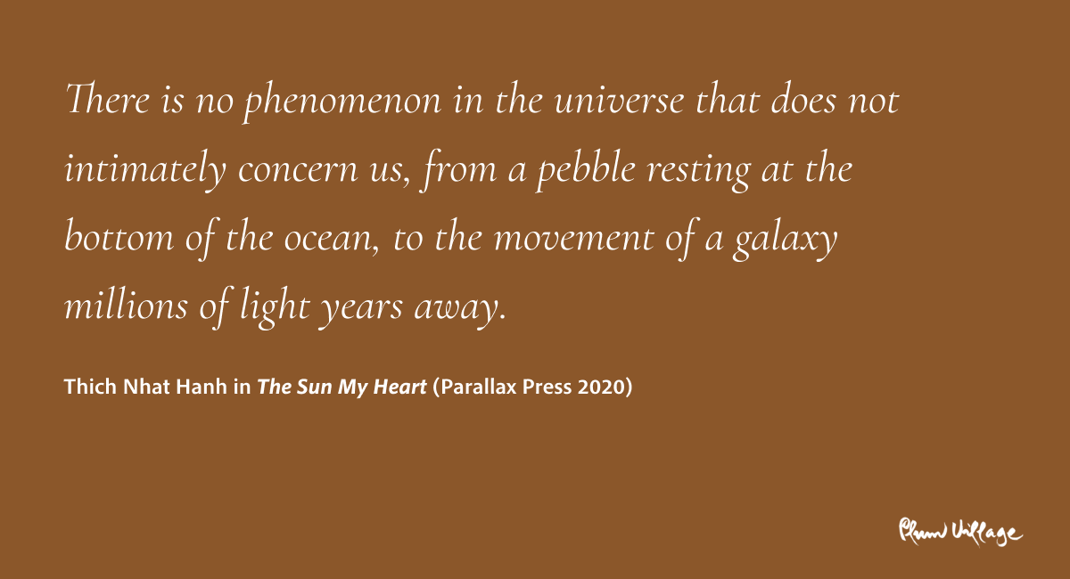 thichnhathanh's tweet photo. "There is no phenomenon in the universe that does not intimately concern us, from a pebble resting at the bottom of the ocean, to the movement of a galaxy millions of light years away."

Thich Nhat Hanh in "The Sun My Heart" (Parallax Press 2020) https://t.co/8i4vAbhH4U