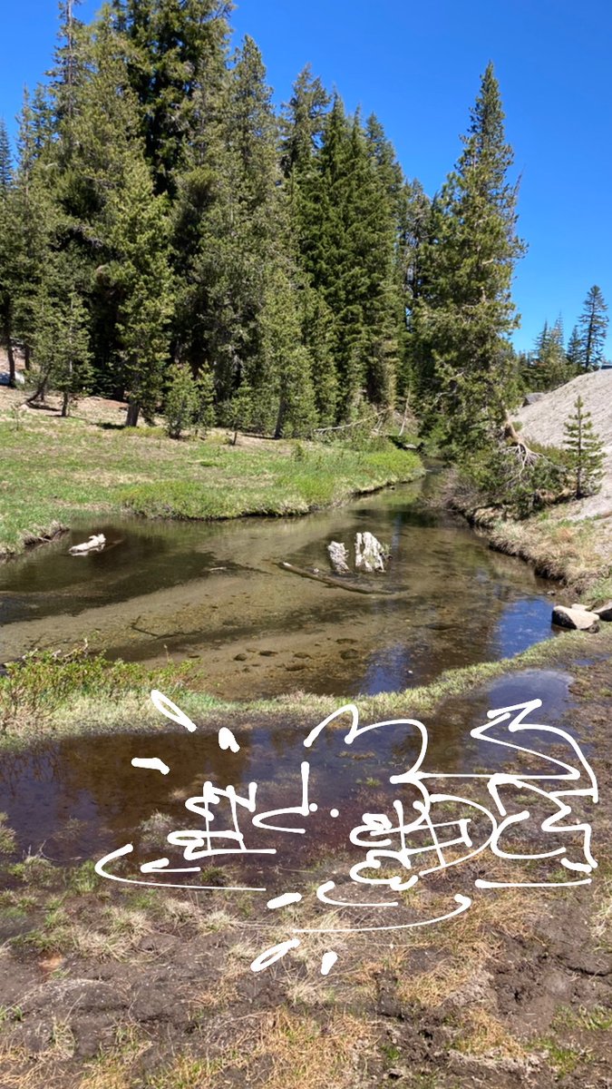 Robo_froggy's tweet photo. Poorly drawn Pico in my nature pics https://t.co/7XbwL5q6TZ