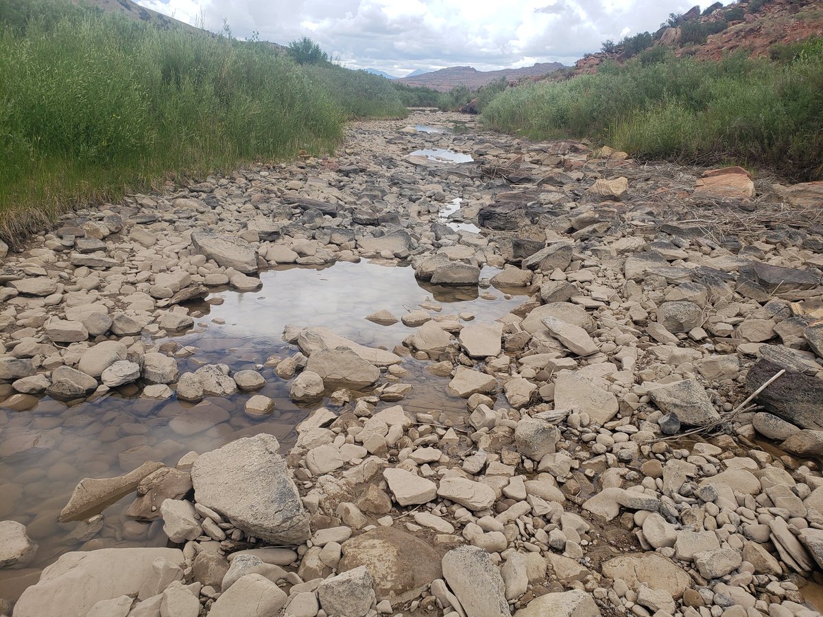 DurangoRhino's tweet photo. The Dolores "River" yesterday at the Big Gypsum Recreation Site. While describing this scene as a river may not be appropriate, the Dolores part remains apt...River of our Lady of Sorrows. https://t.co/G5ThyAZIqY