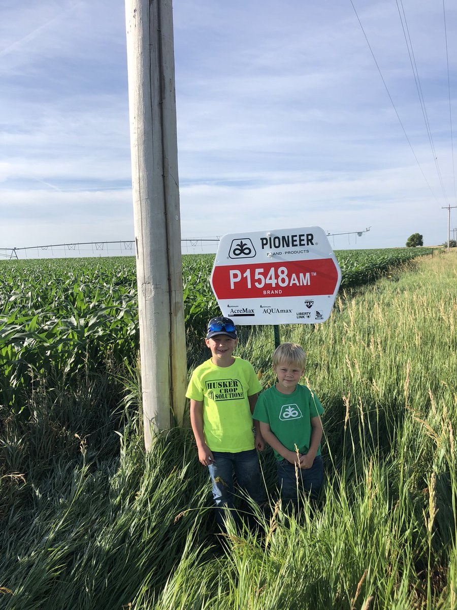 One of our <a href="/PioneerSeeds/">Pioneer Seeds U.S.</a> dryland plots is placed on continuous corn. With large percentage of dryland corn acres being continuous corn this will give our customers a great representation of hybrid performance. 

Had some future/current business associates help place field signs.