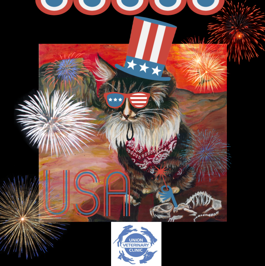 Union Vet Clinic On Twitter Happy Independence Day We Hope Everyone Stays Safe And Cool And Calm For Our Favorite Four Legged Friends Today We Are Closed Today But Will Be Open Again