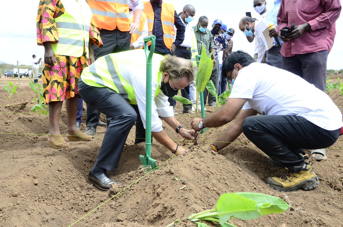 MESPT_ke's tweet photo. He further noted that the focus will be on organic bananas and that working with the #dmdpprogramme consortium members, they will teach the local farmers on "tricks" that will help them improve their yields. https://t.co/dIydqzQRIY