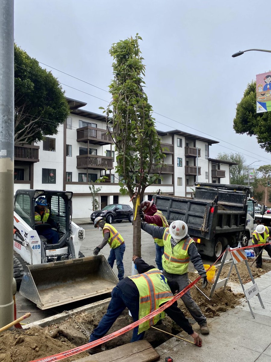 Northern California Cherry Blossom Festival 🌸 tweet media