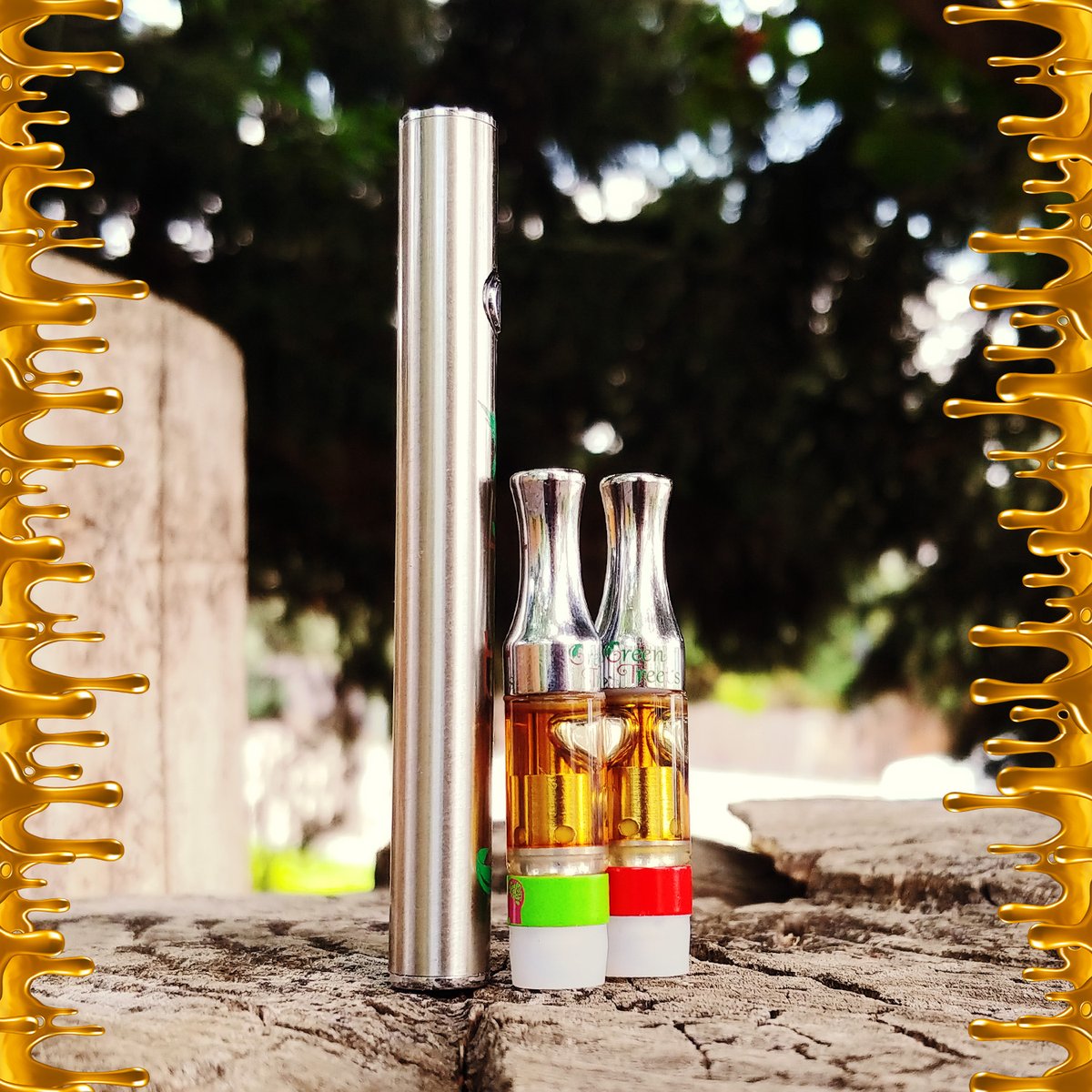 Green_Tree_Fam's tweet photo. First special of July and more at Green Tree Medicinals. Link in bio for info! 💚🌳
.
.
.
#greentreefam #greentreemedicinals #gree_tree_fam #july #cartridges #710 #710specials #vape #vapepen https://t.co/27sEc0fEPJ
