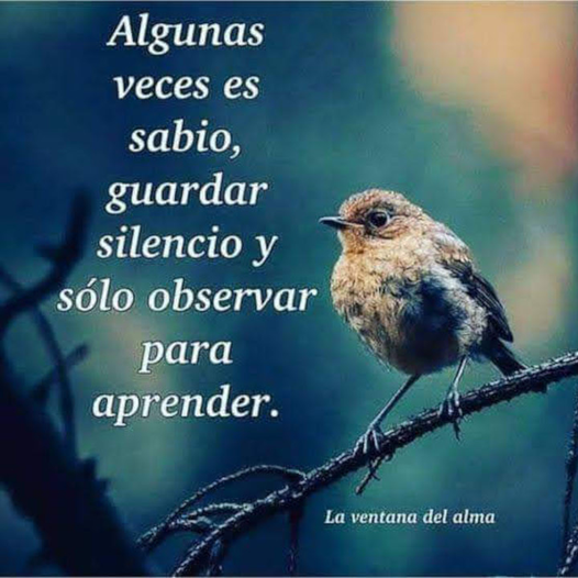 formacionyoga's tweet photo. Observar https://t.co/YXqPv1dnCU
