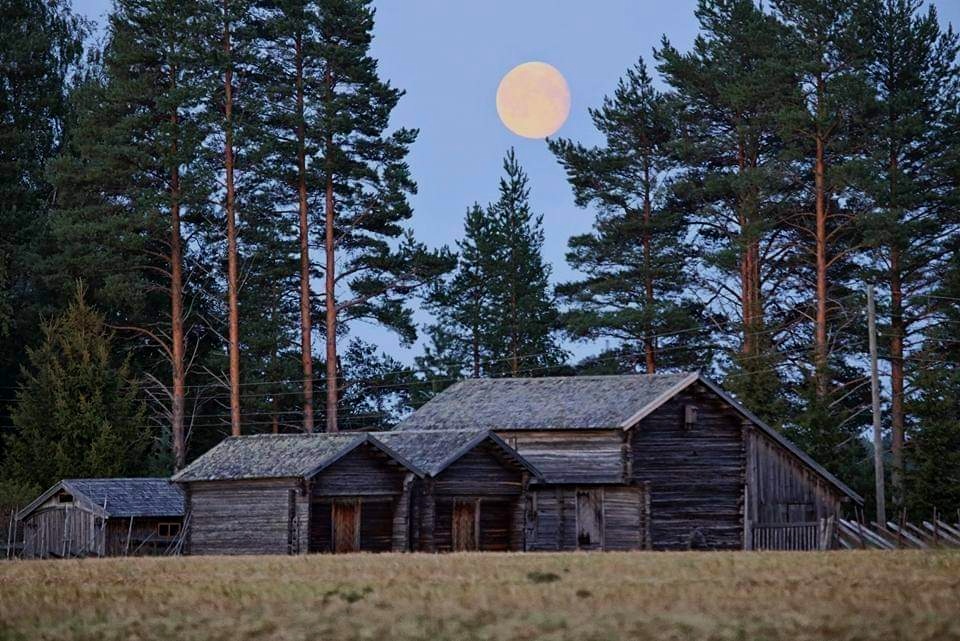 Hyvää illanjatkoa ja yötä 💤😴 Good night.
