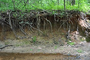ForesterU's tweet image. We are LIVE right now! Join us for the finale of our two-part course entitled &quot;Stream Restoration: Stream Classification and Geometric Determinations&quot; – foresteruniversity.com/ProductDetails…

#ForesterUniversity #Webinar #StreamRestoration
