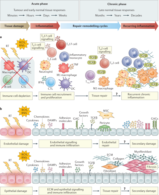 Immunomodulation by radiotherapy in tumour control and normal tissue toxicity dlvr.it/S2sP7P
