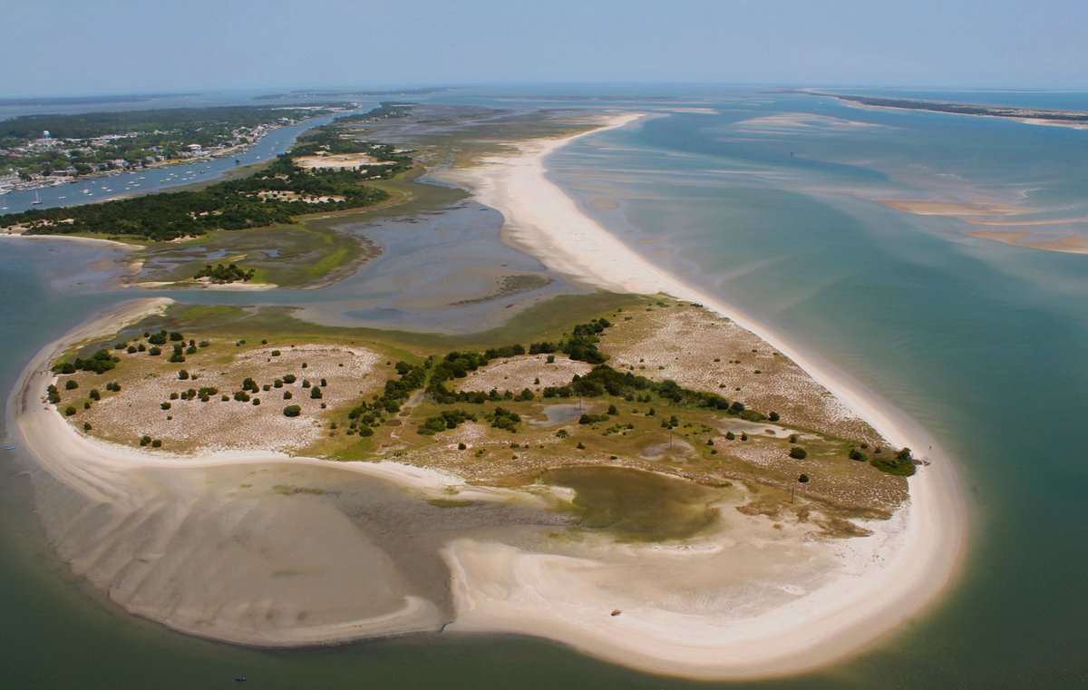 N.C. Coastal Reserve tweet media