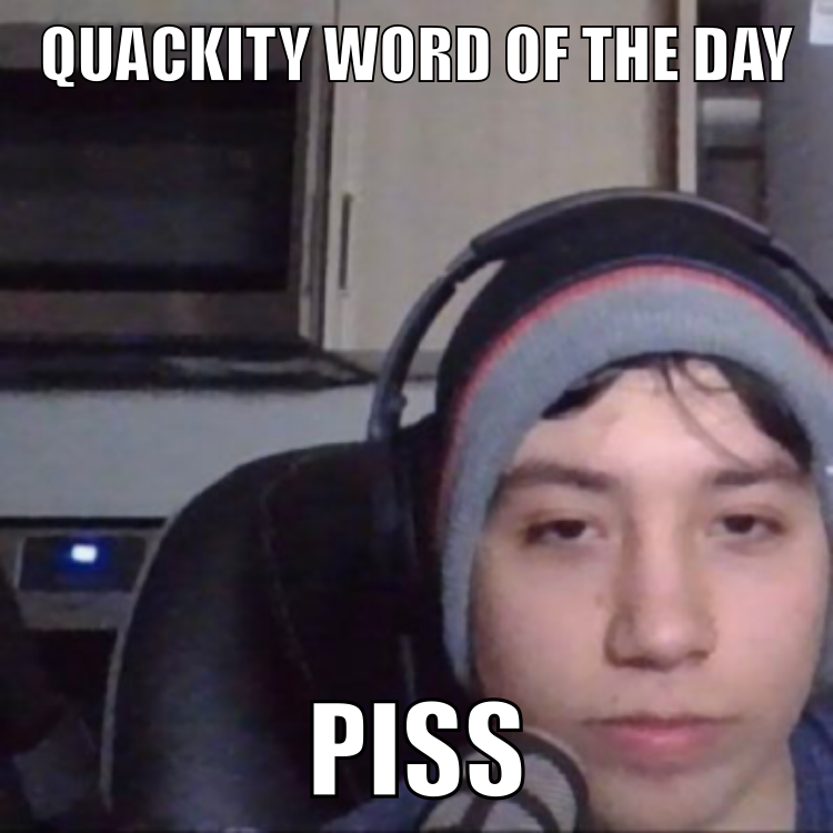 quackity word of the day tweet media