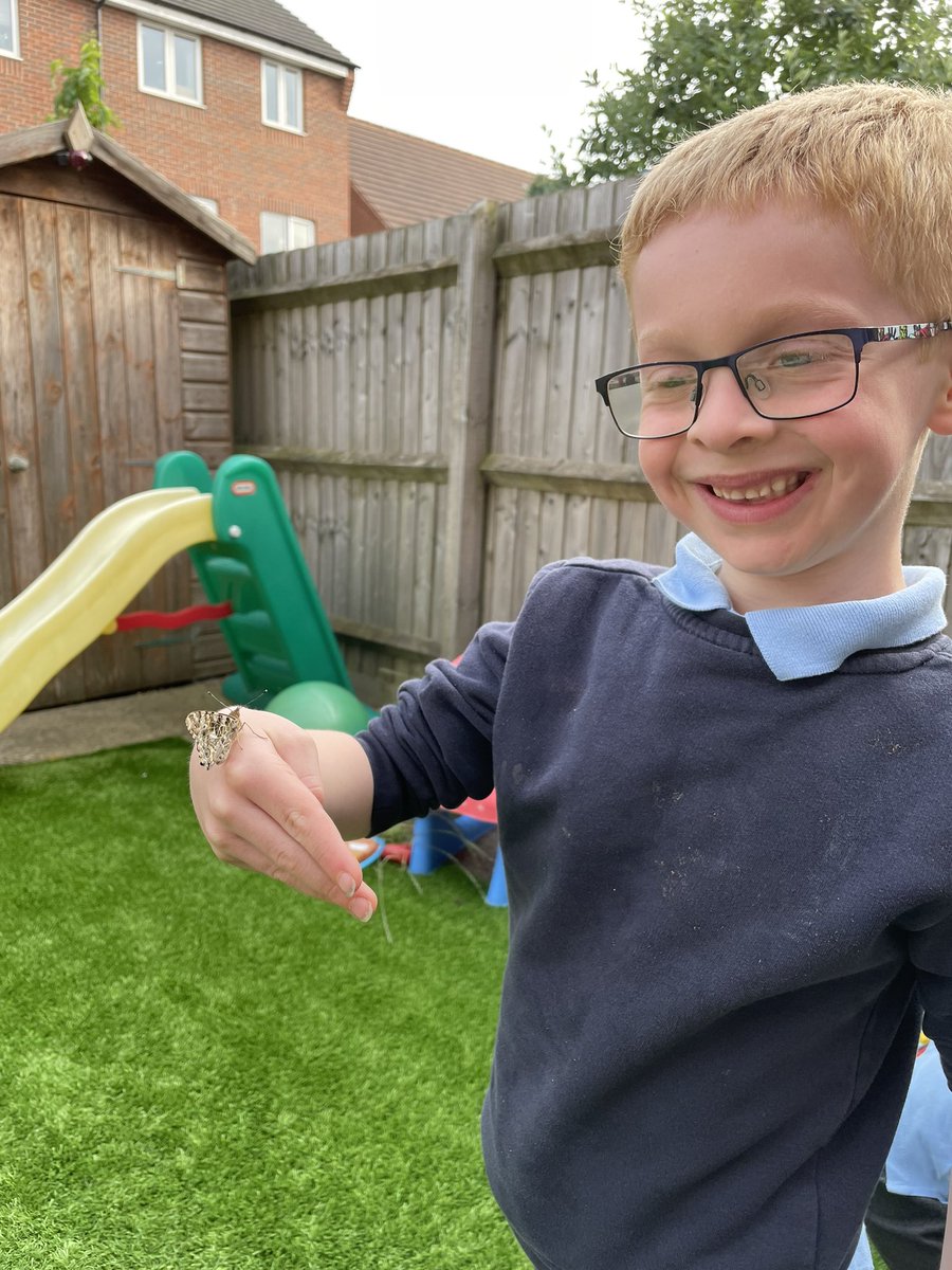 LPmaths's tweet image. Oliver has a friend #butterflygarden #scienceathome @GlowwormsStF @Rob_Dray