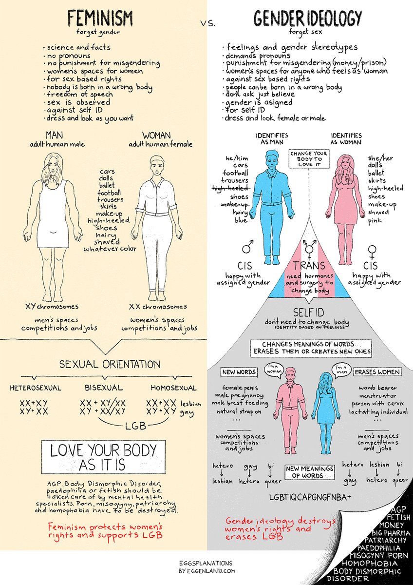 Humanistin's tweet photo. Nur #defekte #Feministin #Feminist brüllen
#Mädchen #Frauen #Mütter #Homosexuelle nieder!
Die #Abschaffung von den biologischen #Geschlechtern
#Frauen #Mädchen #Mütter #Schwule #Lesben #Bisexuellen ohne #Transhintergrund- ist keine progressive #Politik! #NeinZuSelfID #TERFs #Terf https://t.co/ZvhRsGru5k
