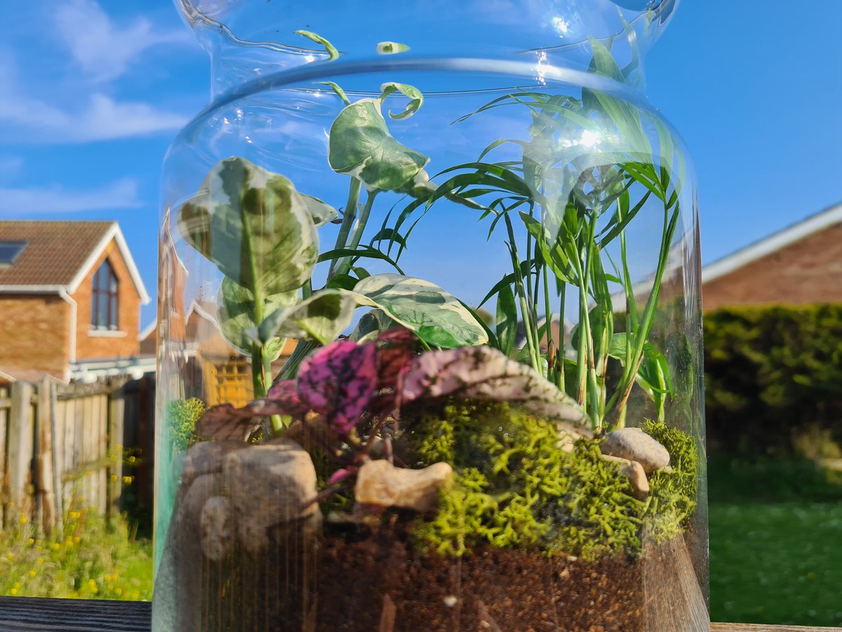 Thank you <a href="/MementoBelfast/">Memento</a> <a href="/Liberty_IT/">Liberty IT</a> for my terrarium class this evening - a great fun #LITSummerfest gift! 🪴🪴🪴