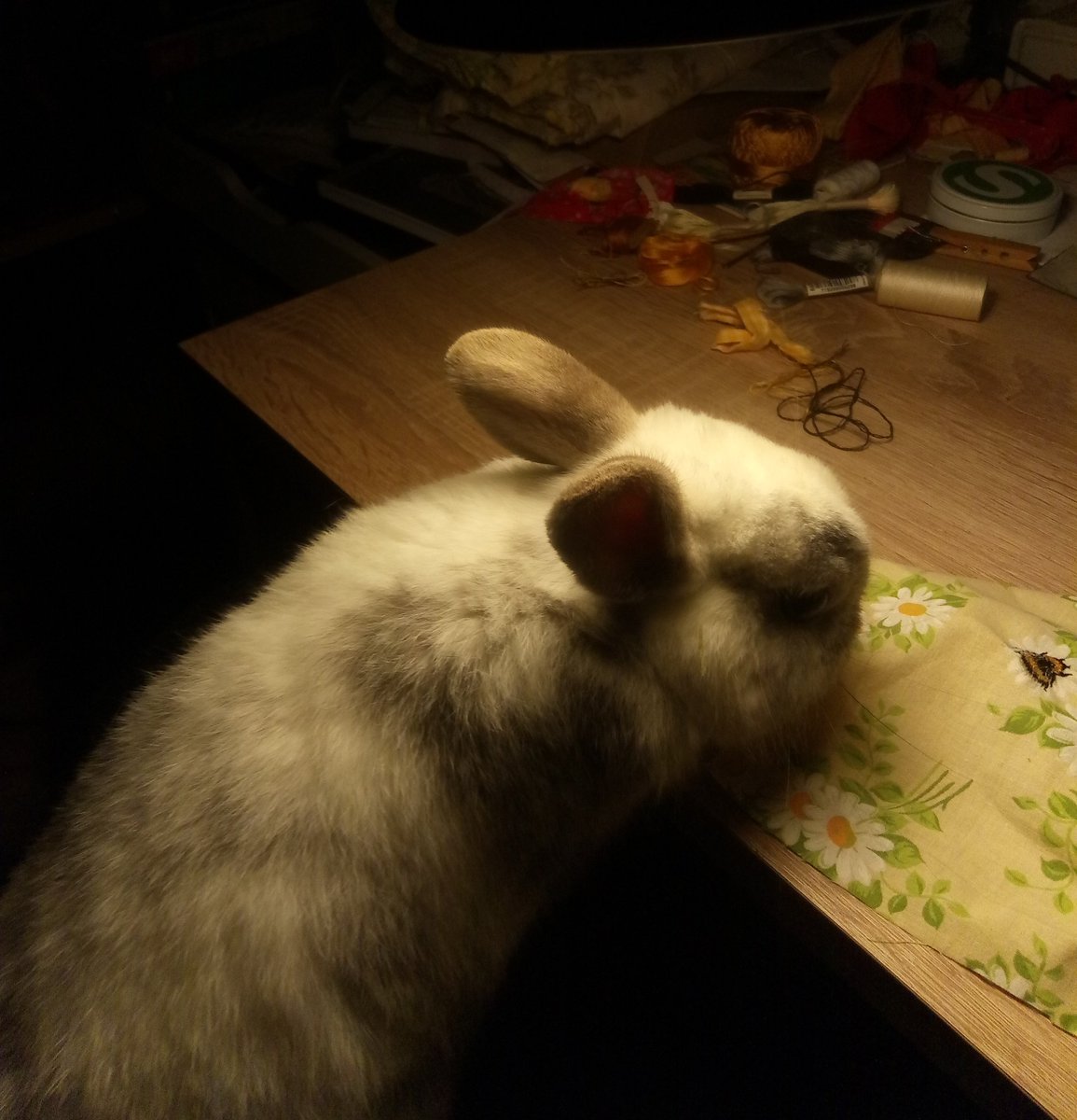 Der Produktassistent mit dem kritischen Auge wirft uns Kundentäuschung vor, weil die Blumen nicht essbar sind ._.