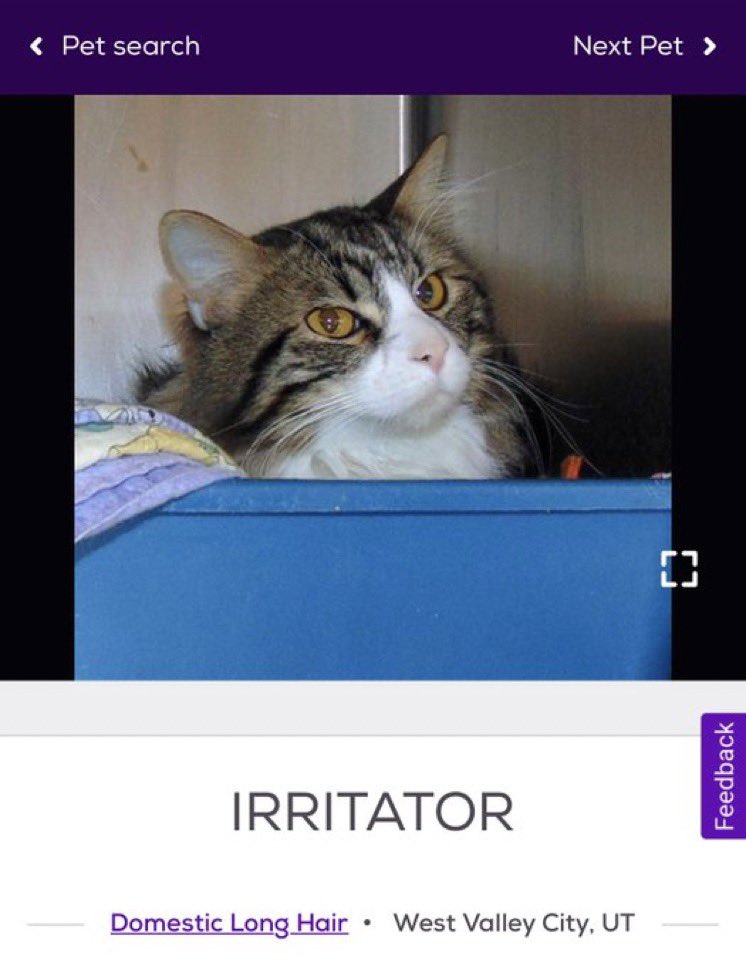 petfindernames's tweet photo. me https://t.co/8BZDsEy2F9