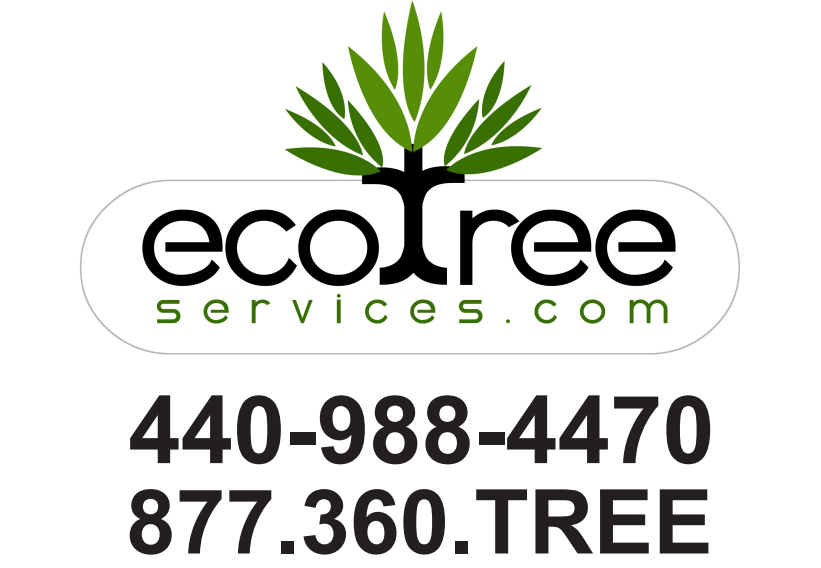 Welcome newest sponsors and donors! Contact Ecotree Services for top of the line tree care services &amp; stop by Aladdin's Eatery in Oberlin for healthy &amp; flavorful Lebanese-American foods! Want to sponsor, contact us now!
ecotreeservices.com
aladdins.com