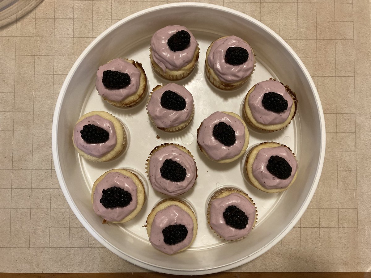 Blackberry cupcakes